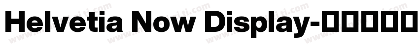 Helvetia Now Display字体转换